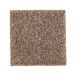 Mohawk Naturally Beautiful II Walnut Shell