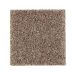 Mohawk Naturally Beautiful II Stonework Collection