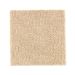 Mohawk Distinctive Nature Maple Tint