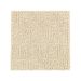 Mohawk Distinctive Nature Sand Dollar