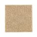 Mohawk Distinctive Nature Brushed Suede