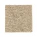 Mohawk Distinctive Nature Hearth Beige