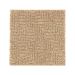 Mohawk Distinctive Nature Glazed Ginger