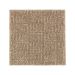 Mohawk Distinctive Nature Nutmeg