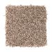 Mohawk Soft Beauty I Amber Sand