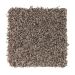 Mohawk Soft Dimensions I Camelot Collection
