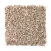 Mohawk Soft Beauty II Arbor Bloom