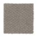 Mohawk Star Performer Truly Taupe