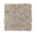 Mohawk Charming Elegance Fleck Desert Scene