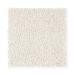 Mohawk Lavish Elegance Fine Silk