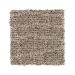 Mohawk Simply Savvy Bare Twig