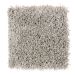 Mohawk Ideal Combination II True Taupe