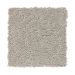 Mohawk Soft Charm Taupe Haze