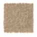 Mohawk Soft Charm Bermuda Sands