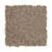 Mohawk Soft Charm Velvet Brown