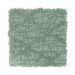 Mohawk Soft Connection English Ivy