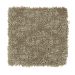 Mohawk Soft Connection Velvet Brown