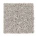 Mohawk Striking Aspect Noveaux Taupe