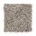 Mohawk Gentle Breeze Meteorite