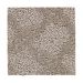 Mohawk Subtle Lattice Fallen Leaves