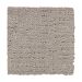 Mohawk Industrial Elegance Perfect Taupe