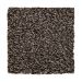 Mohawk Designer Tradition Imperial Brown