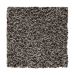 Mohawk Designer Tradition Hawthorn
