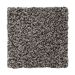 Mohawk Designer Tradition Amazon Star