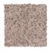Mohawk Advanced View I Homespun Linen