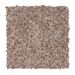 Mohawk Advanced View II Beige Twill