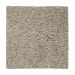 Mohawk Relaxed Comfort II Palisade