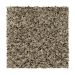 Mohawk Dramatic Color I Taupe Whisper