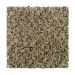 Mohawk Dramatic Color II Taupe Whisper