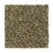 Mohawk Dramatic Color II Mindful Grey