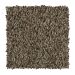 Mohawk Natural Structure I Leather Suede