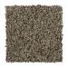 Mohawk Natural Structure I Classic Taupe Collection