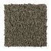 Mohawk Natural Structure I Sparrow