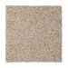 Mohawk Gentle Dwelling Homespun