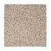 Mohawk Gentle Dwelling Atrium Collection