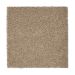 Mohawk Serene Outlook Tudor Brown