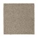 Mohawk Serene Outlook Faint Maple
