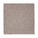 Mohawk Gentle Approach Perfect Taupe