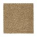 Mohawk Gentle Approach Tortoise Comb