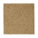 Mohawk Gentle Approach Stonington Beige