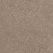 Mohawk Embraceable Starlit Sand