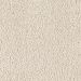 Mohawk Wish Come True Blushing Beige