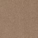 Mohawk Indescribable Warm Neutral