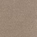 Mohawk Object Of Desire Pebble Taupe