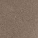 Mohawk Object Of Desire Wooden Plank
