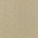 Mohawk Modern Always Toasted Almond
